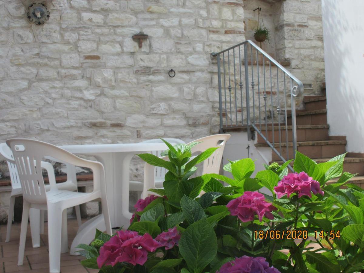 B&B Capo Le Vigne Sirolo Ngoại thất bức ảnh